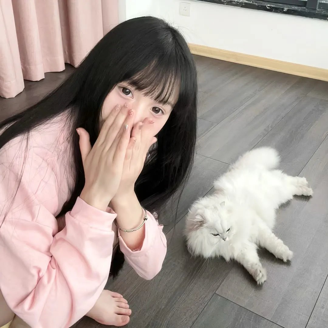 我的英雄学院:英雄崛起